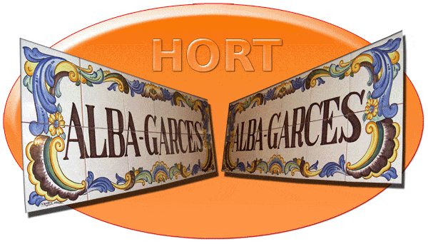 Naranjas Hort Alba Garcés