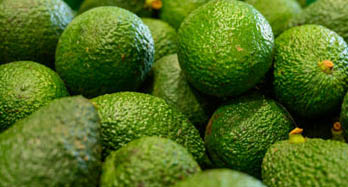 Aguacates Hass 1Kg