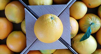 Caja a medida de naranjas y fruta 18 Kg