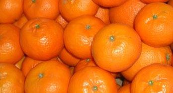 Mandarinas Clementinas 18 Kg