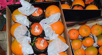 Caja de 45 Naranjas y 28 Mandarinas Gourmet