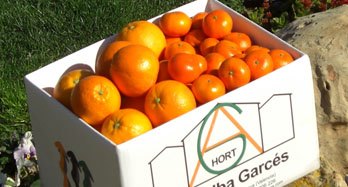 Caja de Naranjas y Mandarinas 12 Kg