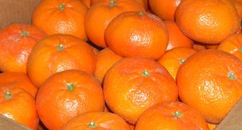 Mandarina Tardía 15 Kg